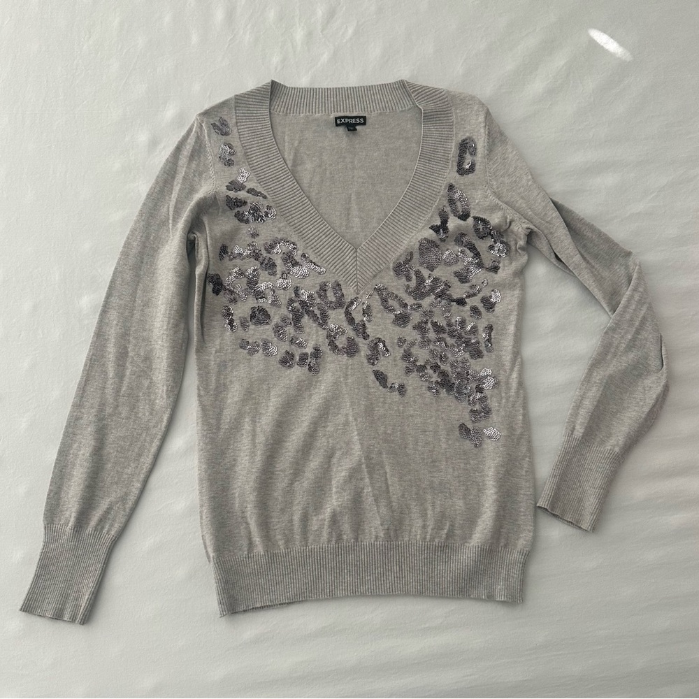 Express Silver V-Neck Sweater with Sequin Accents
